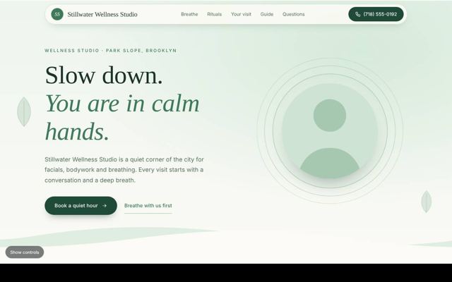 Med spas, chiropractors and PT template 10